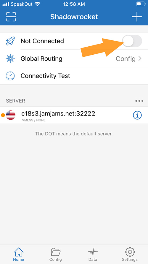 Connect to v2ray service on iPhone