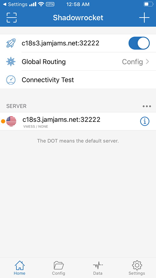 Successfully Connected to Just My Socks v2ray